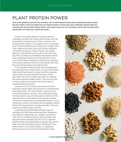 Plant Protein Power