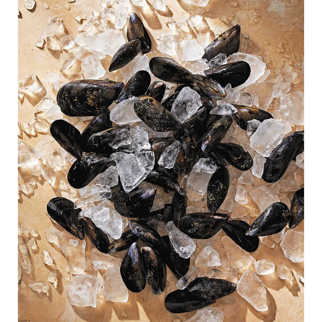 Mussels over ice
