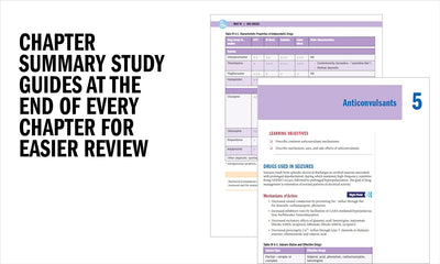 Chapter Summary Study Guides