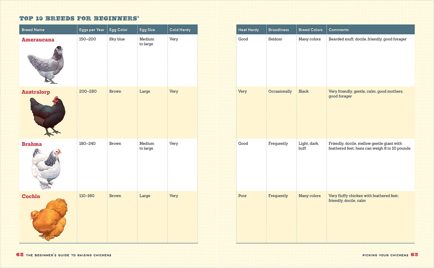 The Beginner's Guide to Raising Chickens: How to Raise a Happy Backyard Flock (Spiral Bound)