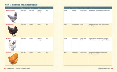 The Beginner's Guide to Raising Chickens: How to Raise a Happy Backyard Flock (Spiral Bound)