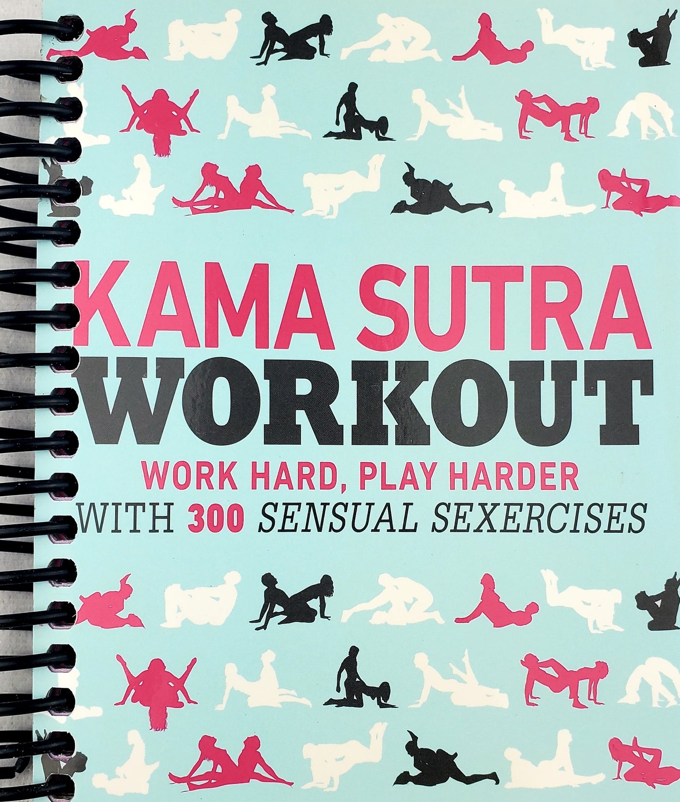 Kama Sutra Workout (Spiral Bound)