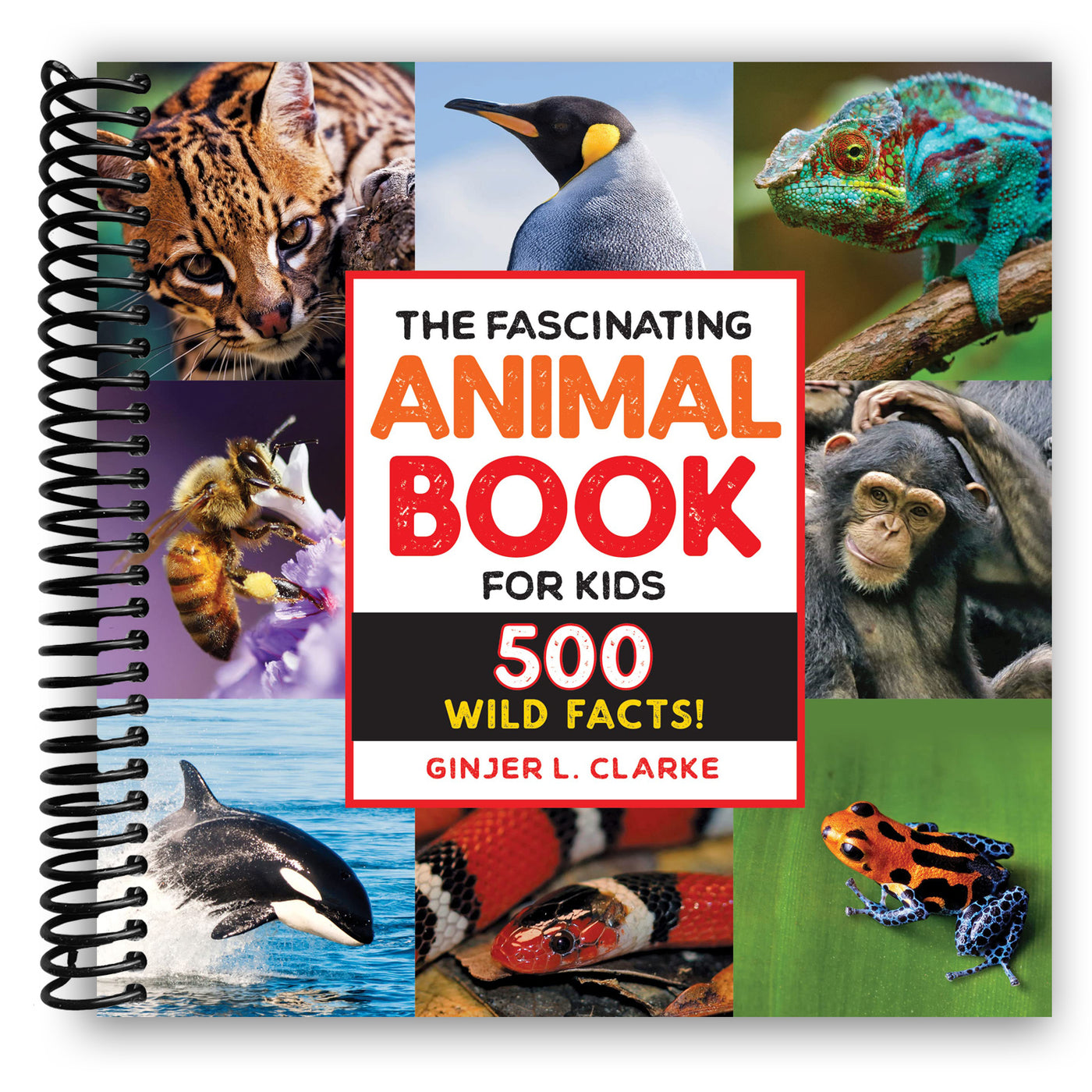 The Fascinating Animal Book for Kids: 500 Wild Facts! (Spiral Bound)