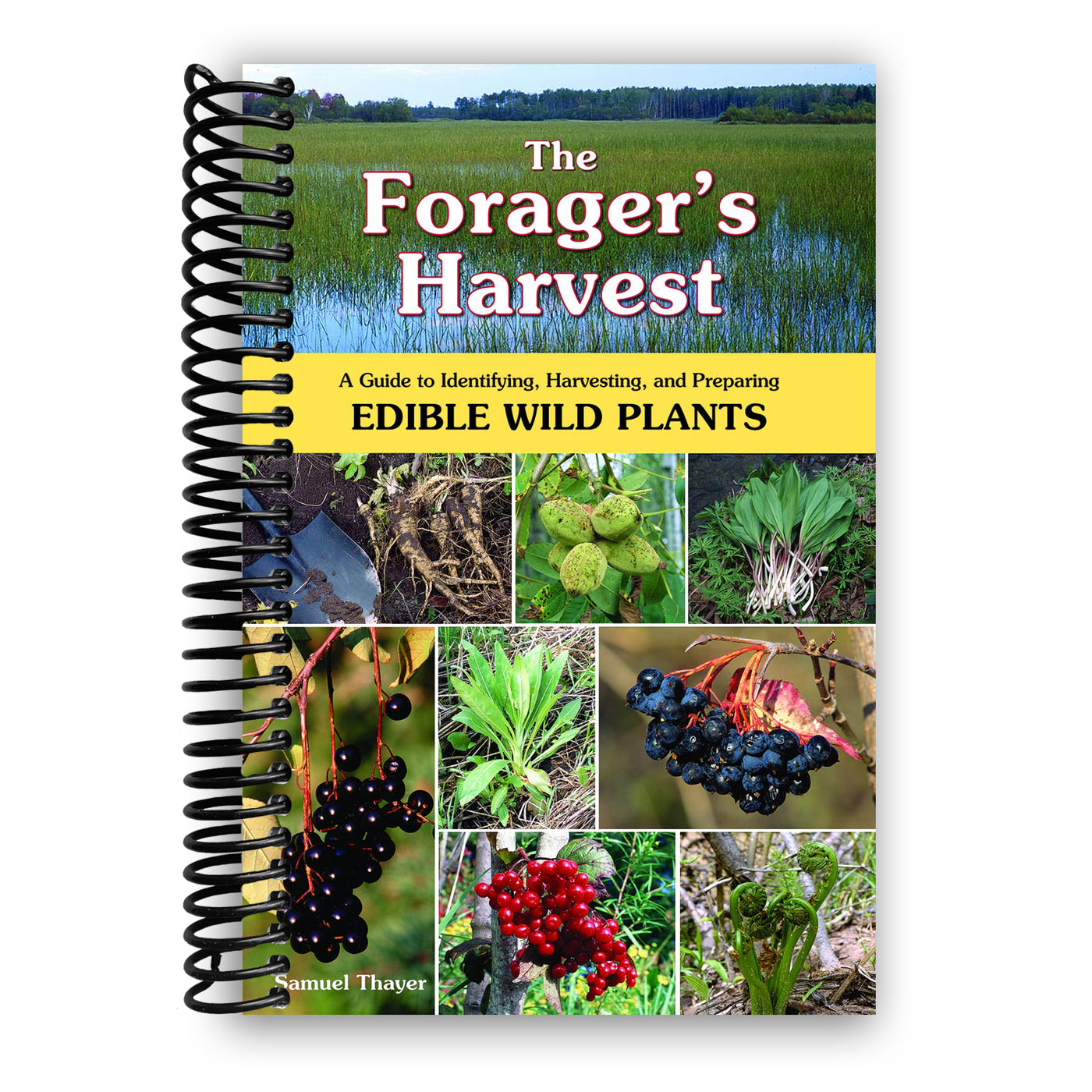 The Forager's Harvest: A Guide to Identifying, Harvesting, and Preparing Edible Wild Plants (Spiral Bound)