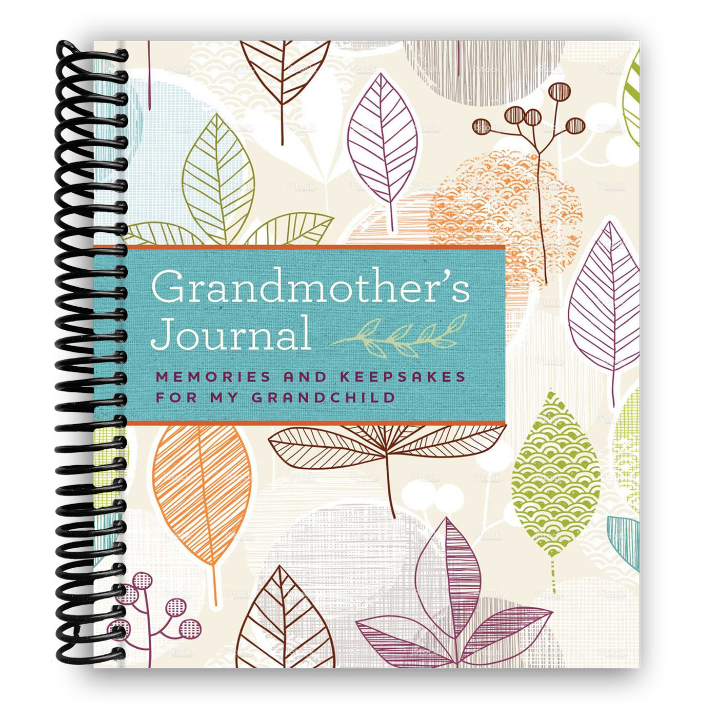 Front cover of Grandmother's Journal